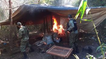 Comitiva fiscal policial destruye campamento y quema supuesta marihuana picada en Caaguazú